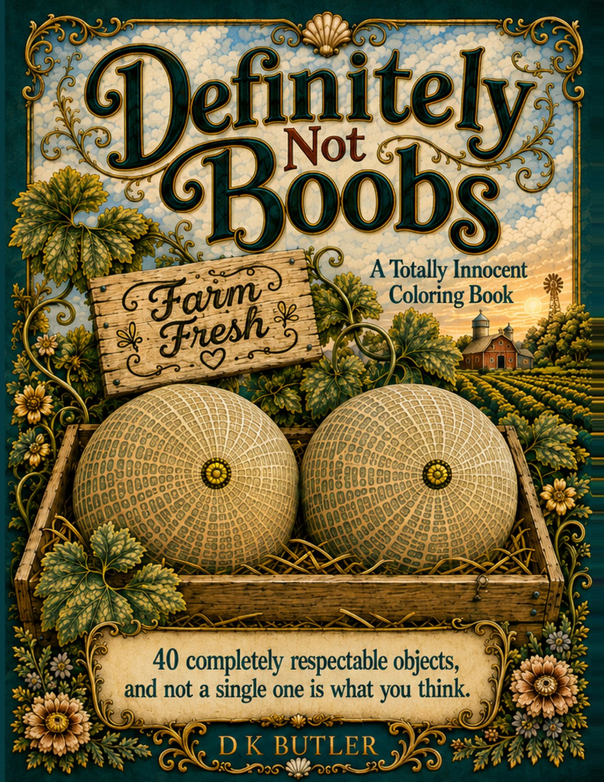 Definitely Not Boobs book cover